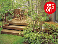 ウェスタンレッドシダー