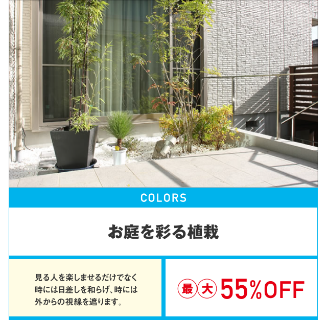 お庭を彩る植栽最大55%OFF