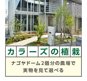 カラーズの植栽