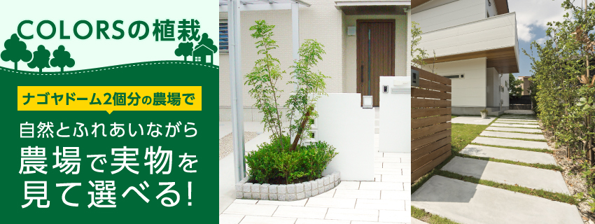 COLOSの植栽 ナゴヤドーム2個分の農場で自然とふれあいながら農場で実物を見て選べる!