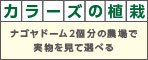 カラーズの植栽